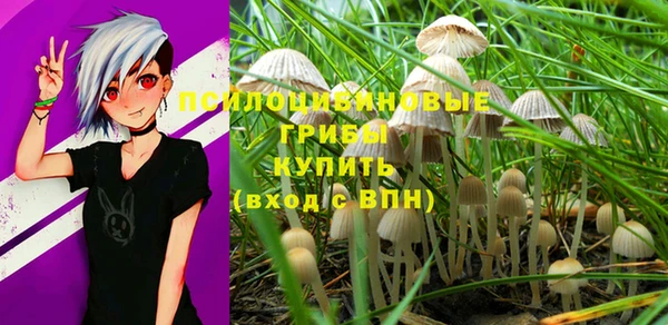 MDMA Дмитриев
